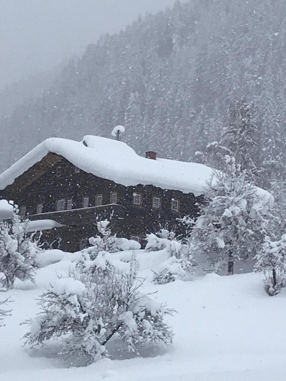 Apartament Arlerhof Untertauern Zewnętrze zdjęcie