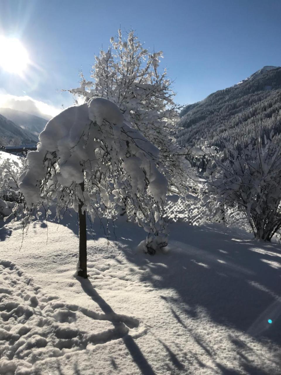 Apartament Arlerhof Untertauern Zewnętrze zdjęcie